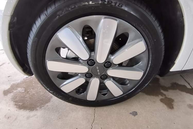 Used ORA Black Cat 2021 351 km Standard Version Left Front Wheel Hub