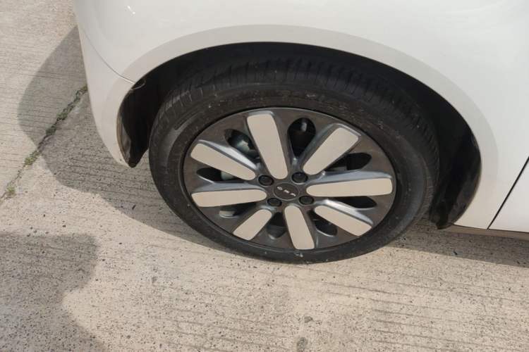 Used ORA Black Cat 2021 351 km Luxury Version Left Front Wheel Hub