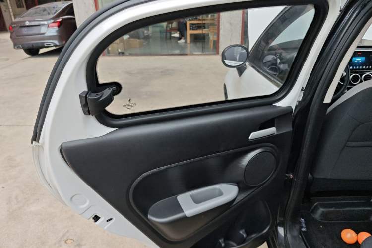 Used ORA Black Cat 2021 301km Cute Pet Edition Left Rear Door Interior
