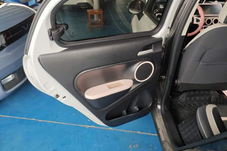 Used ORA Black Cat 2021 351 km Luxury Version Left Rear Door Interior