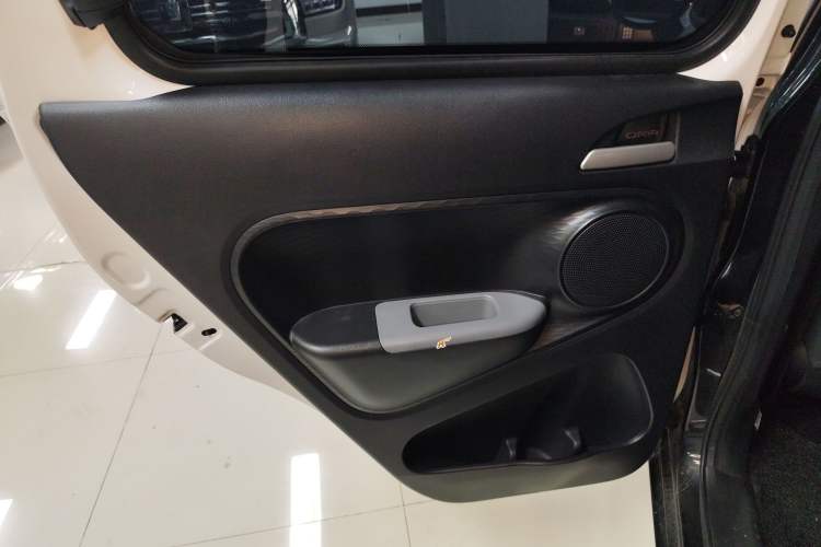 Used ORA Black Cat 2021 301 km Basic Version Left Rear Door Interior