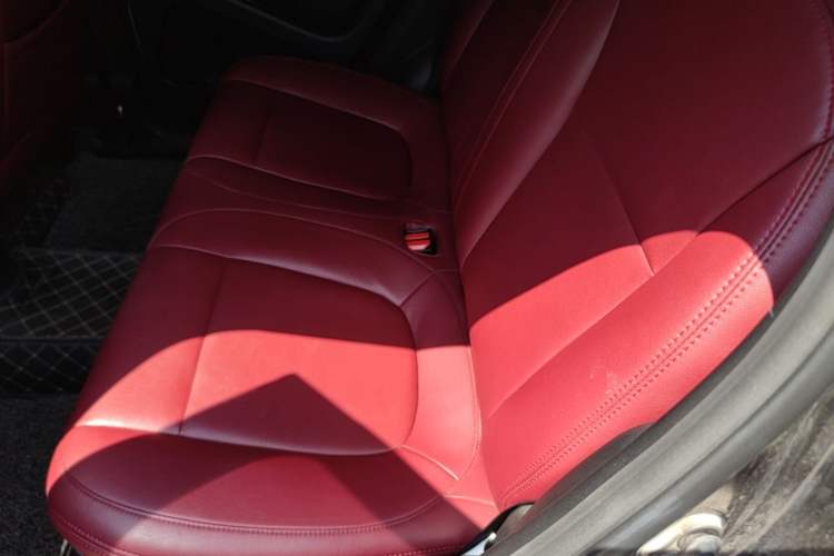 Used ORA Black Cat 2021 301km Cute Pet Edition Left Rear Seat