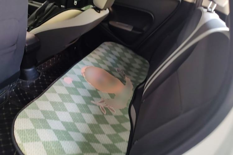 Used ORA Black Cat 2021 301 km Basic Version Left Rear Seat
