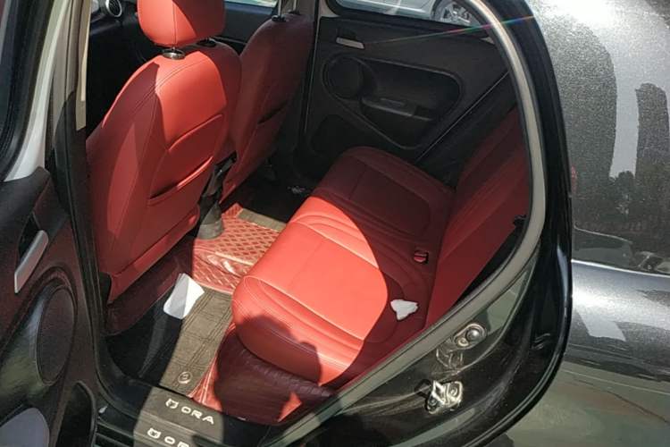 Used ORA Black Cat 2021 301km Cute Pet Edition Left Rear Seat