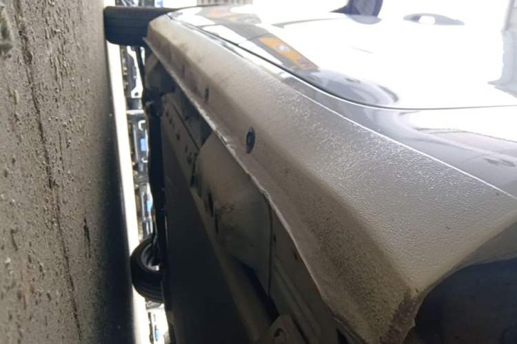 Used ORA Black Cat 2021 351 km Standard Version Left Side Sill