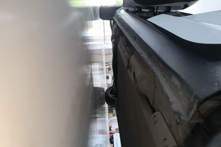 Used ORA Black Cat 2021 351 km Standard Version Left Side Sill