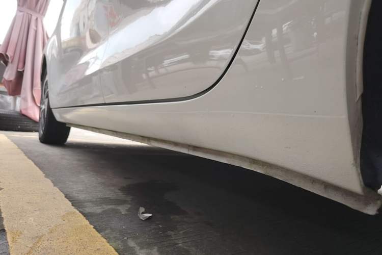 Used ORA Black Cat 2021 351 km Luxury Version Left Side Sill