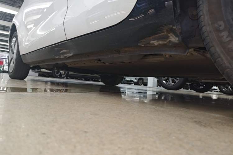 Used ORA Black Cat 2021 301 km Basic Version Left Side Sill