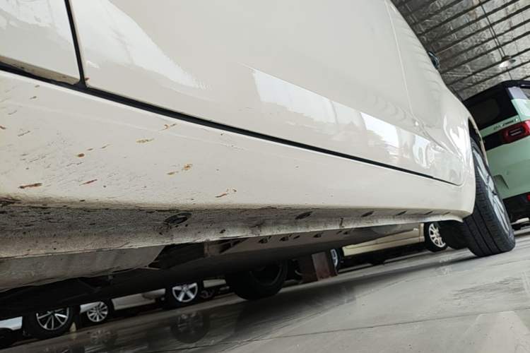 Used ORA Black Cat 2021 351 km Standard Version Left Side Sill
