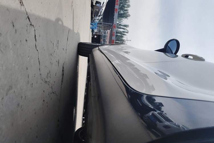 Used ORA Black Cat 2021 351 km Standard Version Left Side Sill