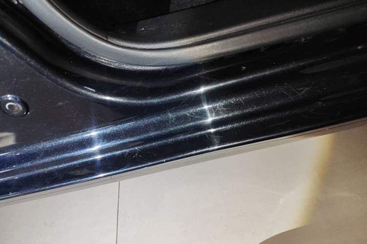 Used ORA Black Cat 2021 301km Cute Pet Edition Left Side Sill