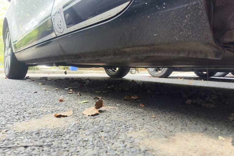 Used ORA Black Cat 2021 351 km Standard Version Left Side Sill