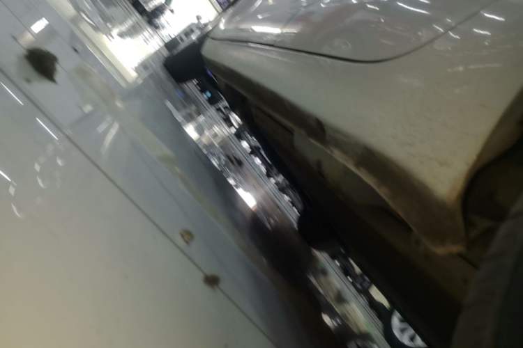 Used ORA Black Cat 2021 301 km Basic Version Left Side Sill
