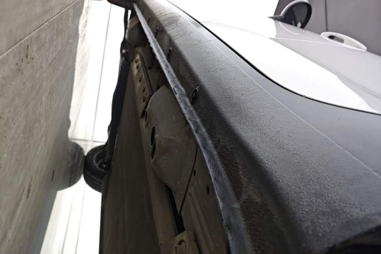 Used ORA Black Cat 2021 351 km Standard Version Left Side Sill