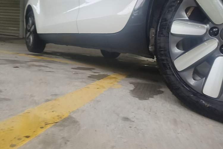 Used ORA Black Cat 2021 351 km Standard Version Left Side Sill