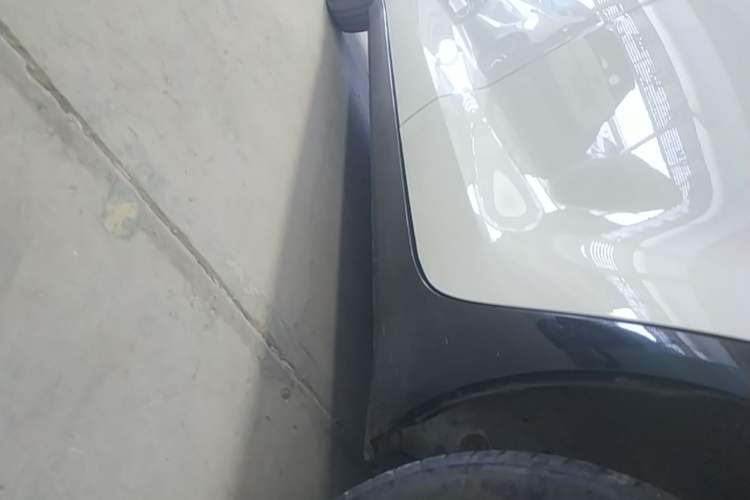 Used ORA Black Cat 2021 301 km Basic Version Left Side Sill
