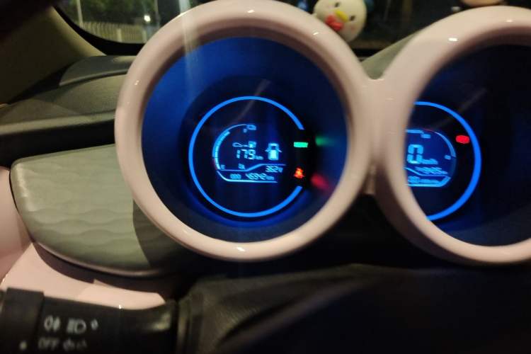 Used ORA Black Cat 2021 301km Cute Pet Edition Odometer Close Up