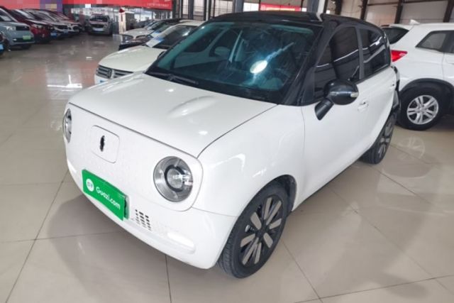 ORA Black Cat 2021 351 km Standard Version с пробегом