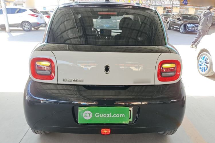 Used ORA Black Cat 2021 301km Cute Pet Edition Rear