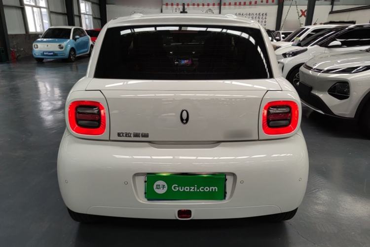 Used ORA Black Cat 2021 351 km Luxury Version Rear