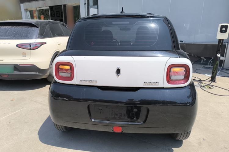 Used ORA Black Cat 2021 301km Cute Pet Edition Rear