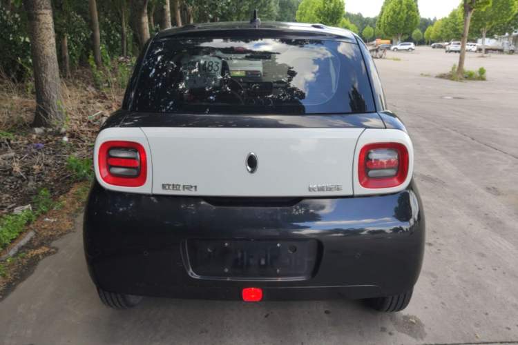 Used ORA Black Cat 2021 301 km Basic Version Rear