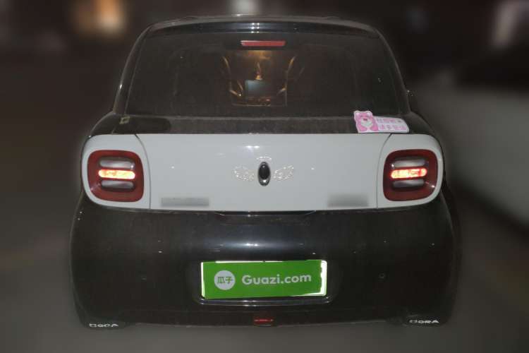 Used ORA Black Cat 2021 351 km Luxury Version Rear
