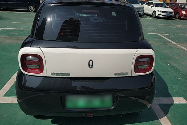 Used ORA Black Cat 2021 301km Cute Pet Edition Rear