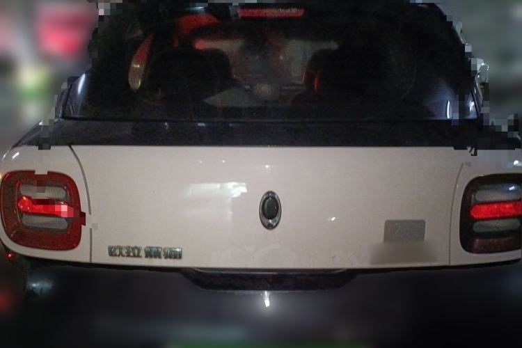 Used ORA Black Cat 2021 351 km Luxury Version Rear