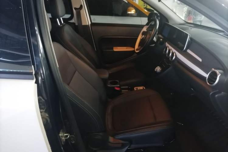 Used ORA Black Cat 2021 301km Cute Pet Edition Right Front Seat