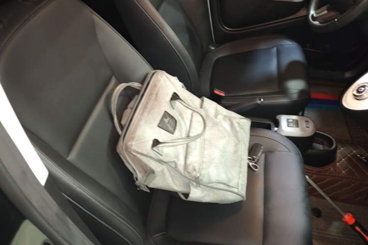 Used ORA Black Cat 2021 351 km Standard Version Right Front Seat