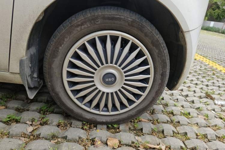 Used ORA Black Cat 2021 301km Cute Pet Edition Right Front Wheel Hub
