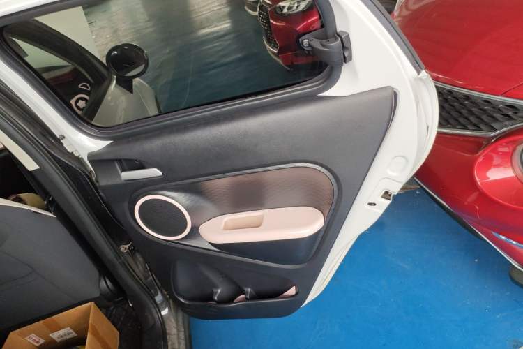 Used ORA Black Cat 2021 351 km Luxury Version Right Rear Door Interior