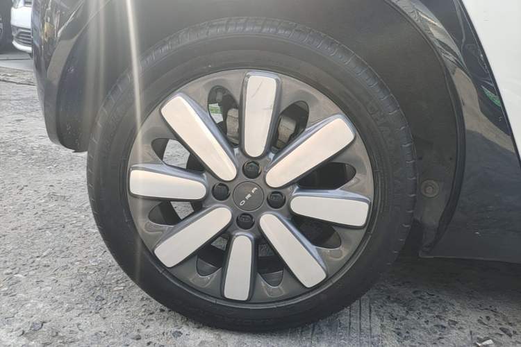 Used ORA Black Cat 2021 351 km Luxury Version Right Rear Wheel Hub