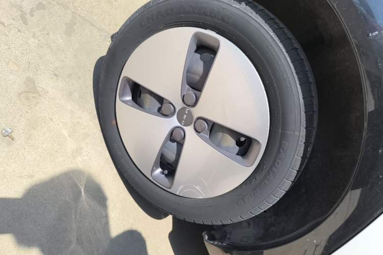 Used ORA Black Cat 2021 301km Cute Pet Edition Right Rear Wheel Hub