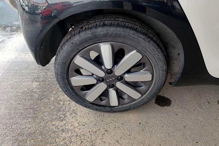 Used ORA Black Cat 2021 351 km Standard Version Right Rear Wheel Hub