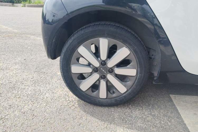 Used ORA Black Cat 2021 351 km Standard Version Right Rear Wheel Hub