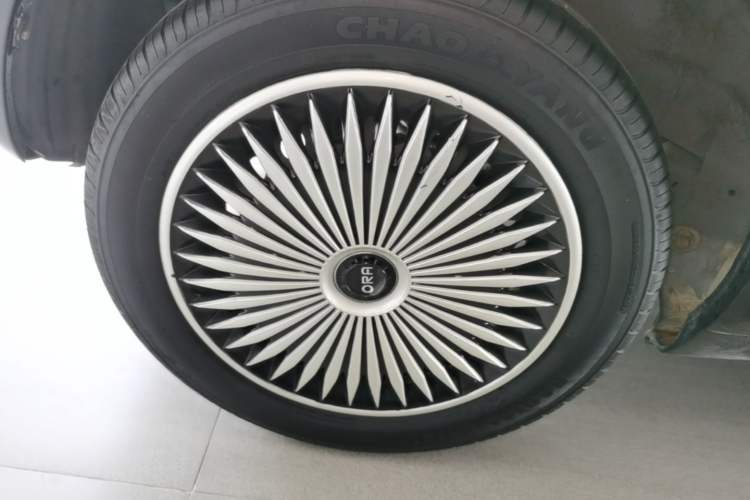 Used ORA Black Cat 2021 301 km Basic Version Right Rear Wheel Hub