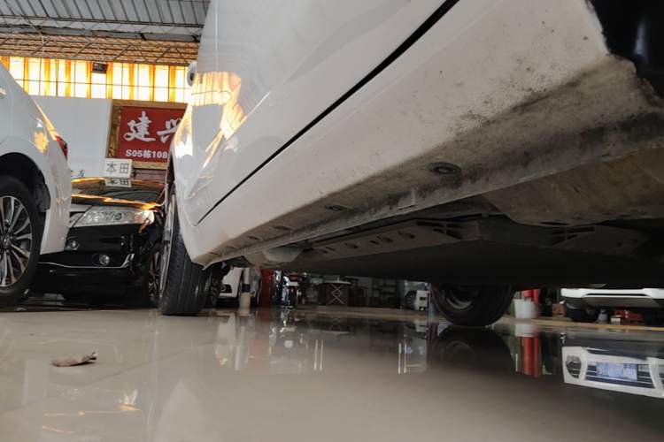 Used ORA Black Cat 2021 301 km Basic Version Right Side Sill