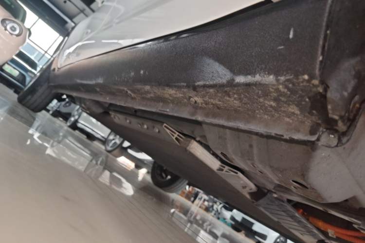 Used ORA Black Cat 2021 405 km Long-Range Version Right Side Sill