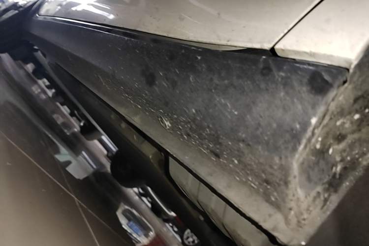 Used ORA Black Cat 2021 301km Cute Pet Edition Right Side Sill