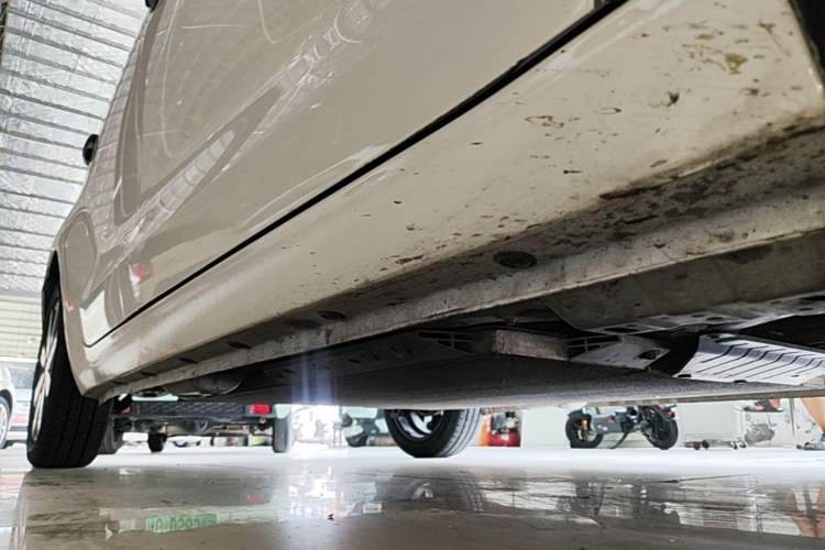 Used ORA Black Cat 2021 351 km Standard Version Right Side Sill