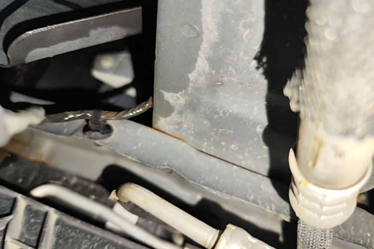 Used ORA Black Cat 2021 301 km Basic Version Right Side Sill