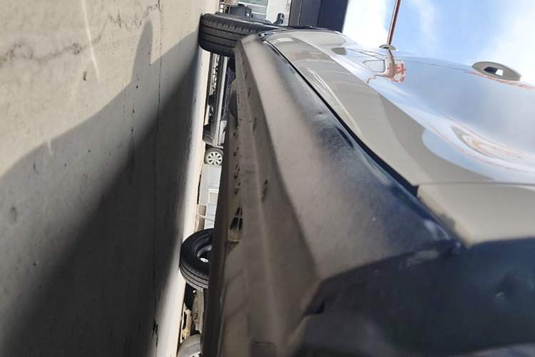 Used ORA Black Cat 2021 351 km Standard Version Right Side Sill