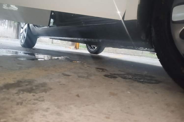 Used ORA Black Cat 2021 351 km Standard Version Right Side Sill