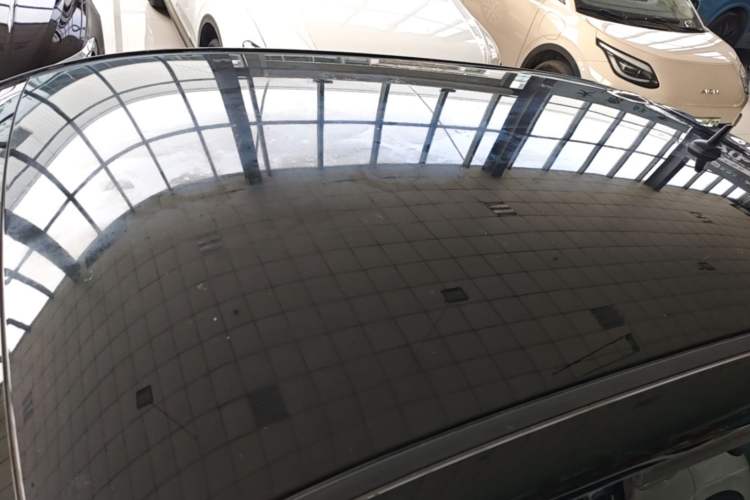 Used ORA Black Cat 2021 301 km Basic Version Roof