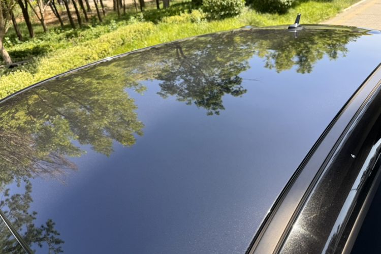 Used ORA Black Cat 2021 351 km Luxury Version Roof