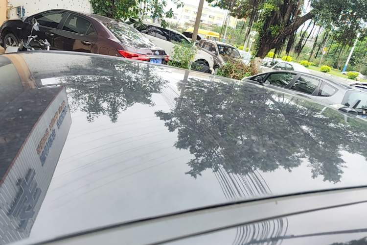 Used ORA Black Cat 2021 301 km Basic Version Roof