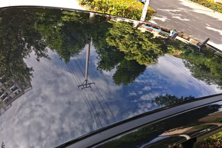 Used ORA Black Cat 2021 301 km Basic Version Roof