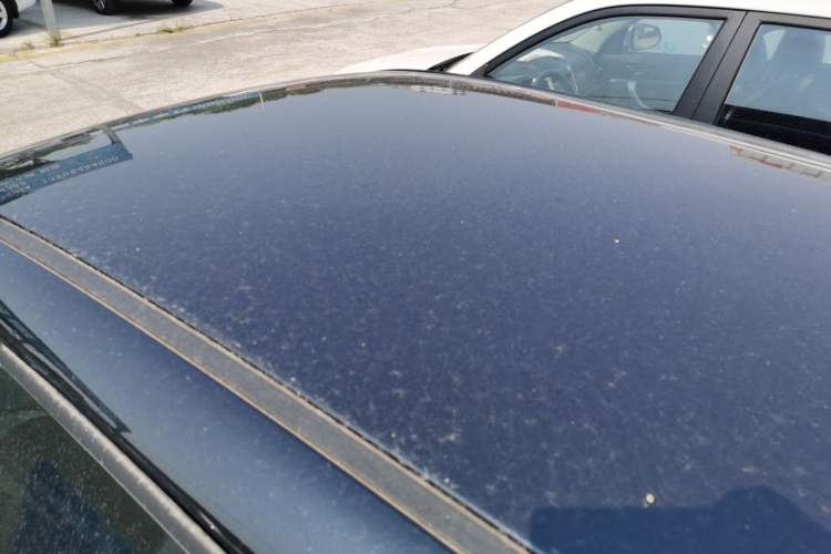Used ORA Black Cat 2021 301km Cute Pet Edition Roof